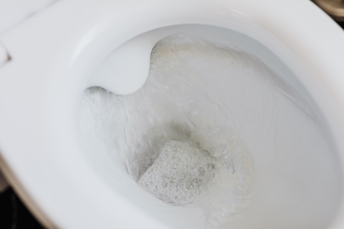 Comment se passer de papier toilette ? 5 alternatives au papier toilette en 2024 - Jhana