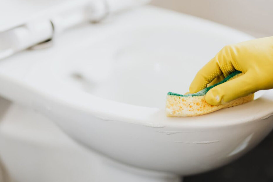 nettoyage toilette naturel