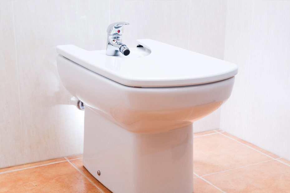 bonne raison d'adopter le bidet