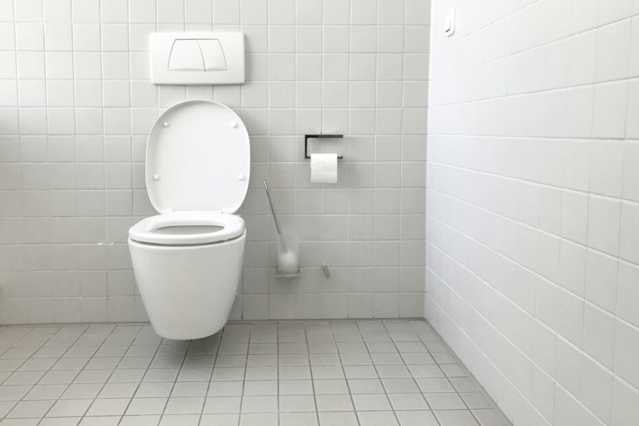 Abattant et cuvette de WC blancs dans une salle de bain